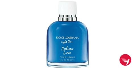 dolce gabbana light blue 2022|Mehr.